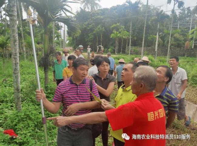 海南环科院待遇如何