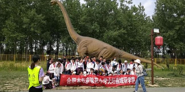 合肥市华府骏苑小学怎么样