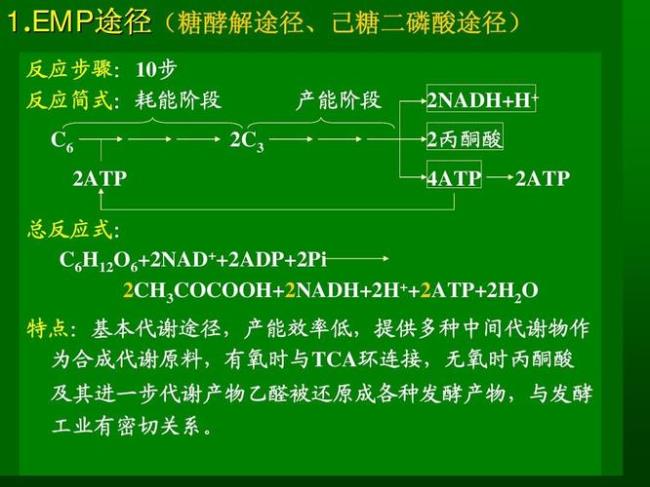 丙酮酸的化学式是什么