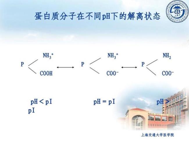 等电点沉淀法的原理