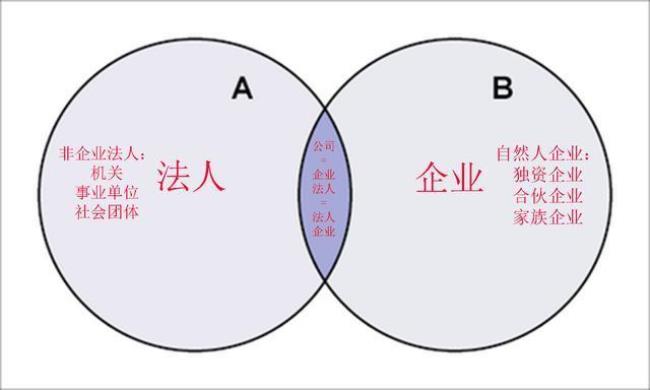 法人类别什么意思