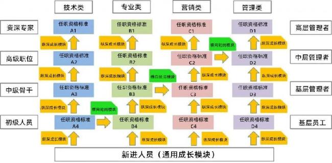 职位序列什么意思