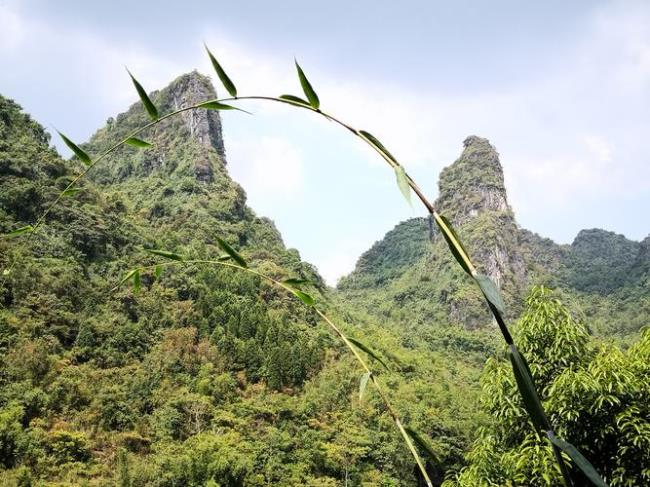 广西马山县有什么风景区请帮忙