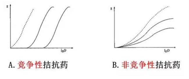 竞争性抑制为什么最大速度不变