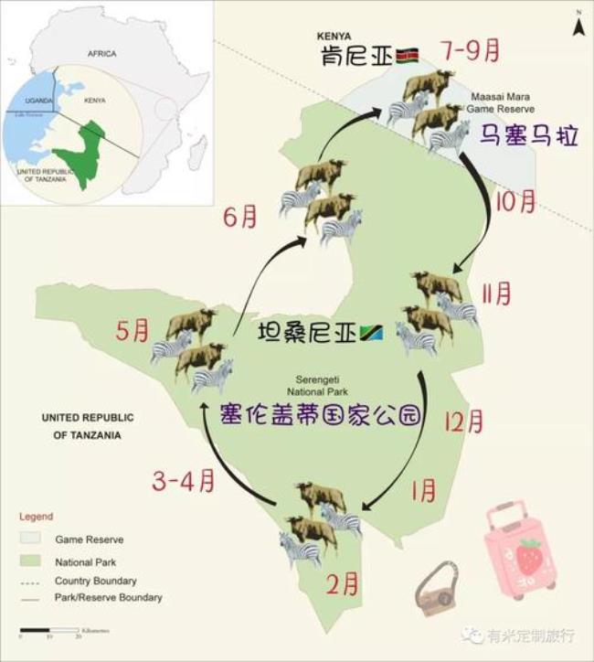 东非高原动物向北迁徙的月份