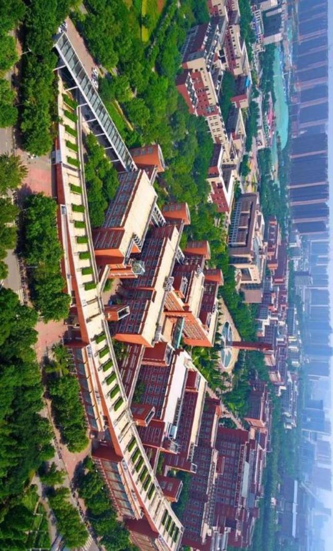 郑州大学最多的区