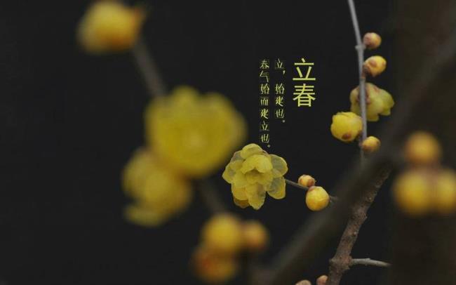 立春是不是节日