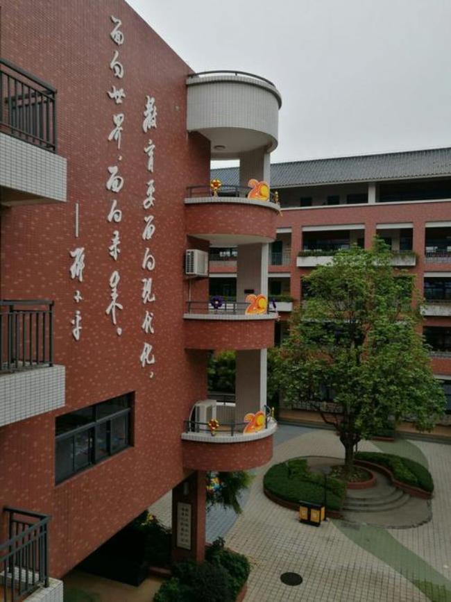 中山市小榄镇小学排名