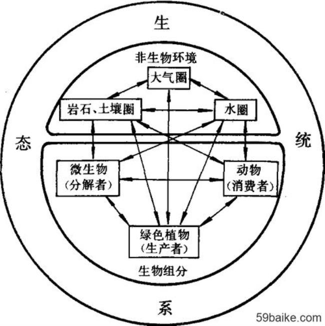 生态系统的初级生产效率