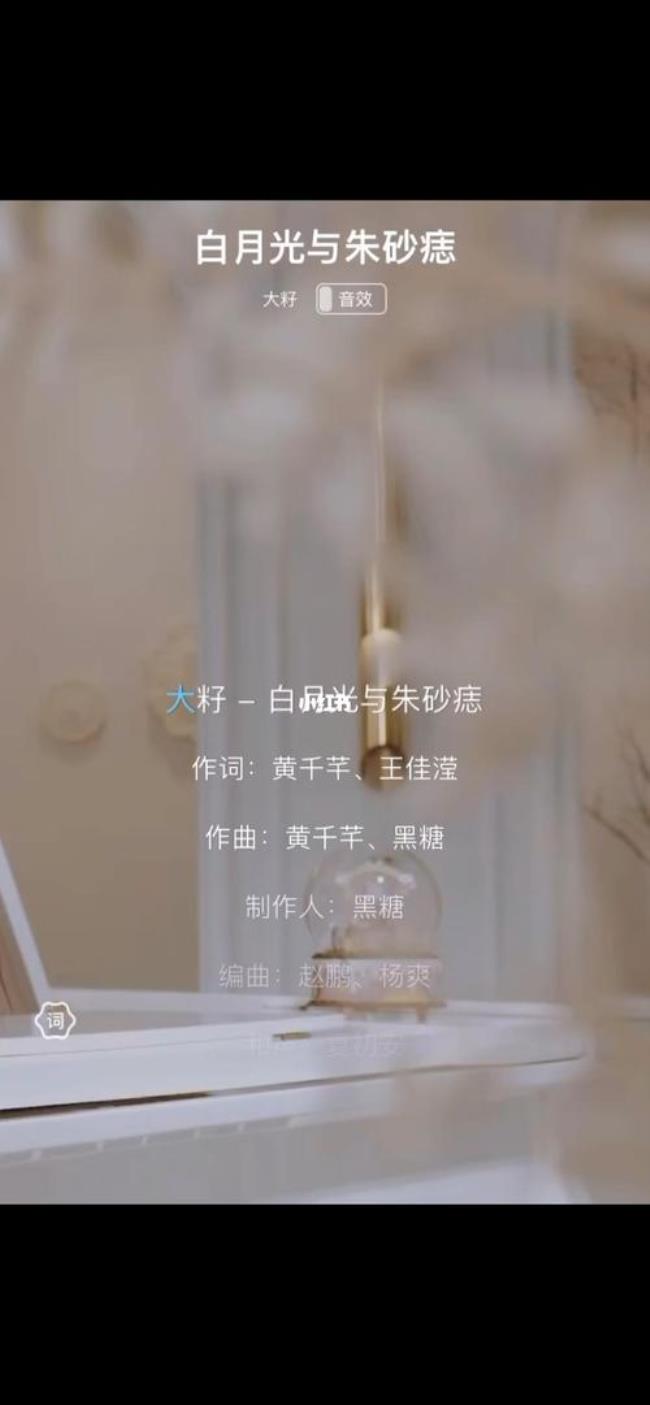 白月光与朱砂痣歌曲分段