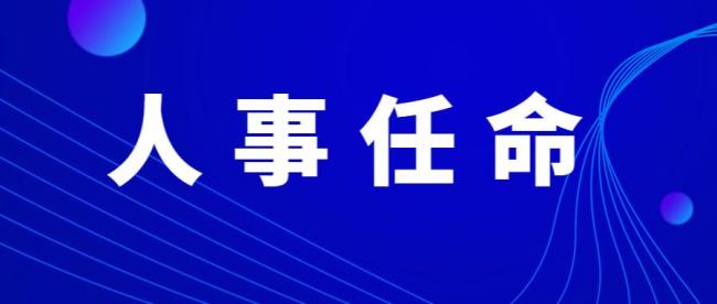 副科长以上的领导职务指哪些