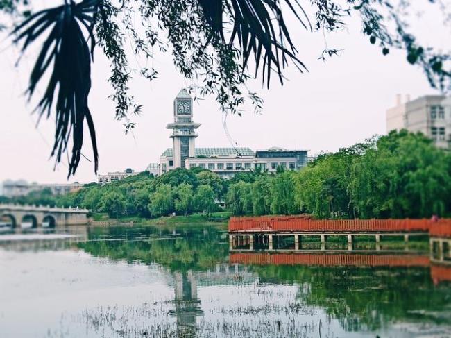 中南财财经大学校区漂亮吗