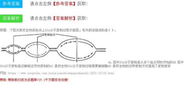 DNA复制和染色体复制是一回事吗