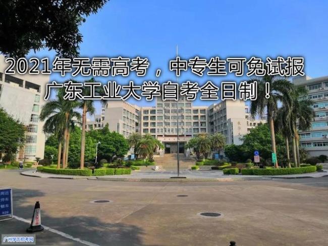 放弃外省211选择广东工业大学对吗