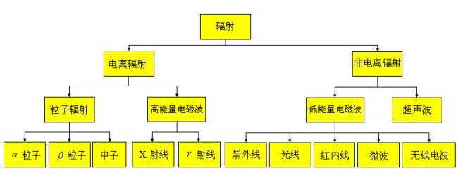 电磁波的媒体类型