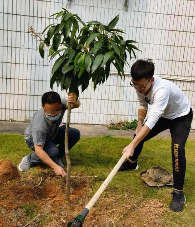 公职人员能享受造林补贴吗