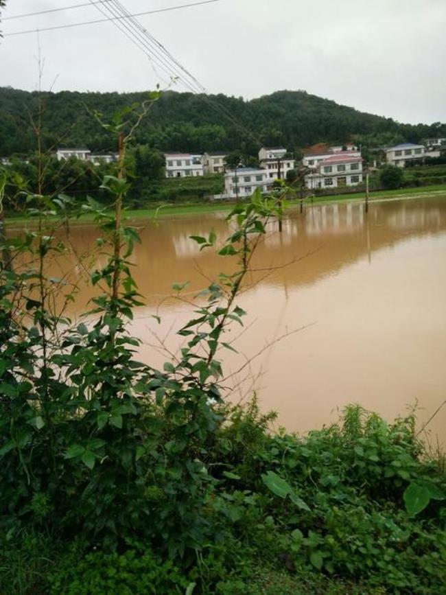 湖南浏阳市离郑州多远