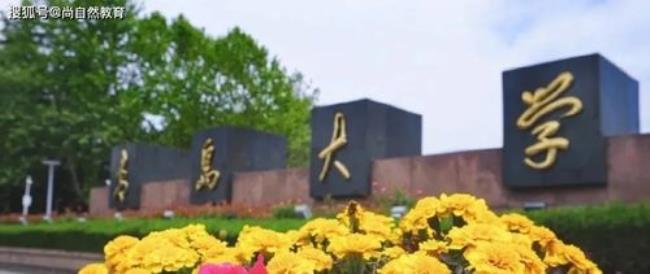 青岛大学是211吗