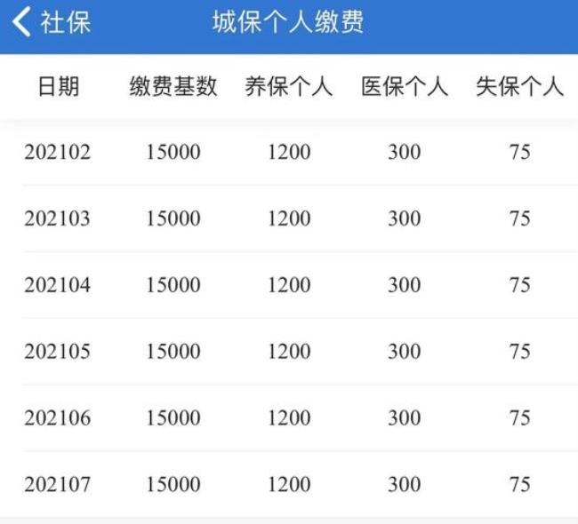 社保查询个人缴费明细查询