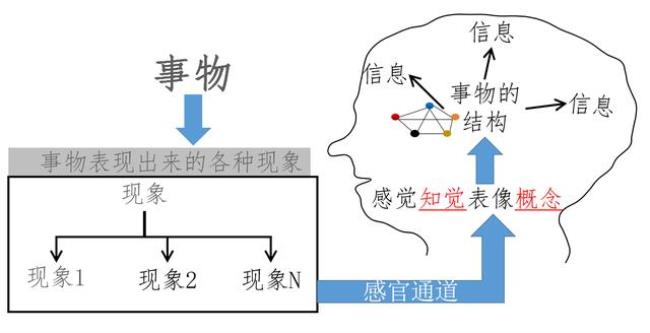 事物和现象的联系具有什么特点