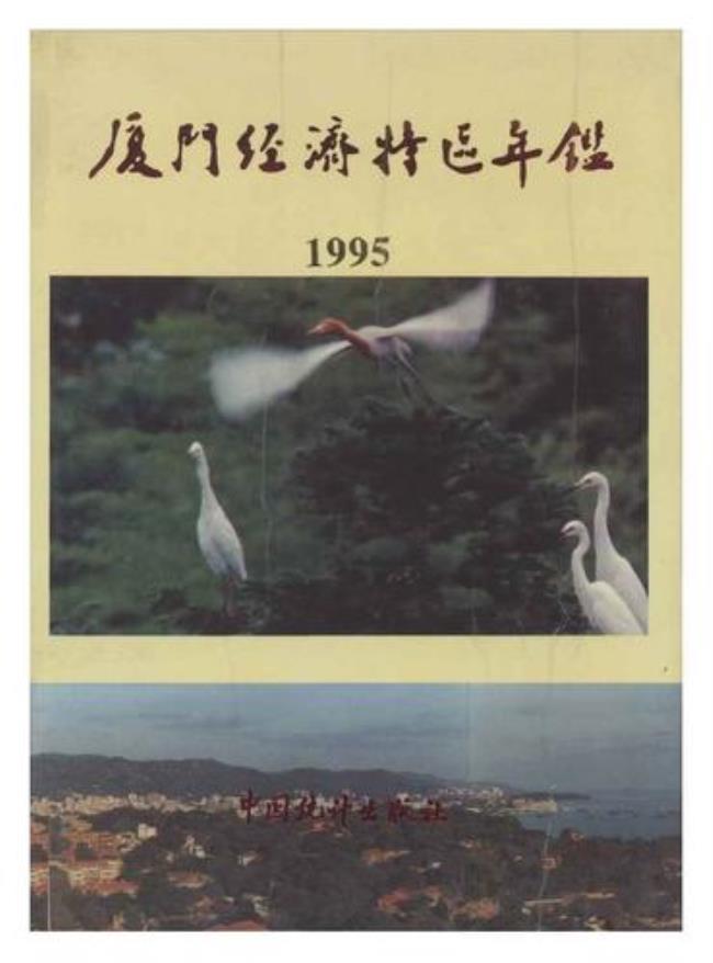 1990年开发的是什么经济特区