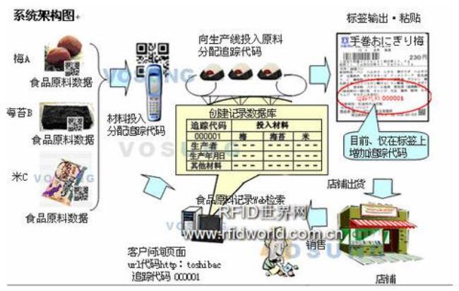 信息加工的基本环节有哪些