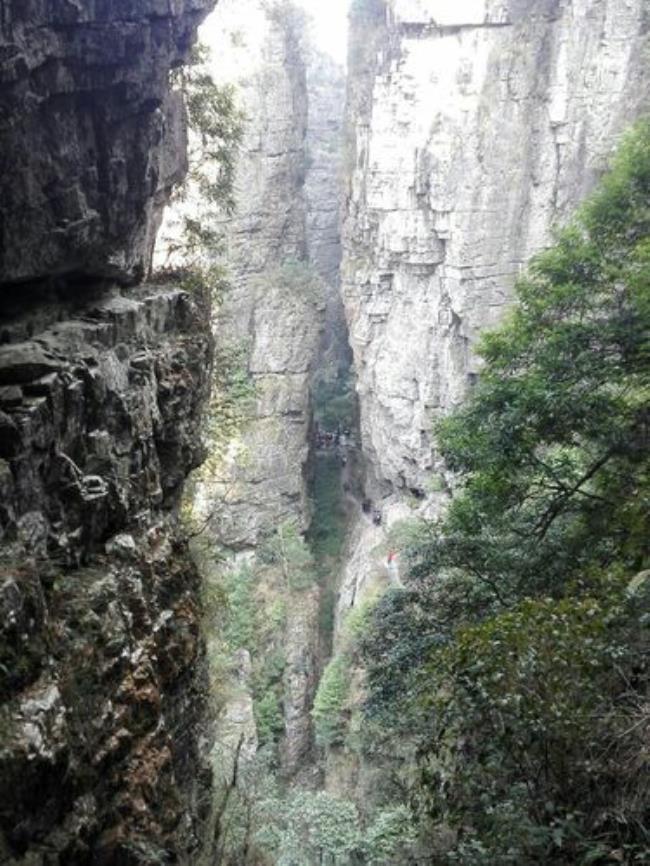 金秀山景区门票