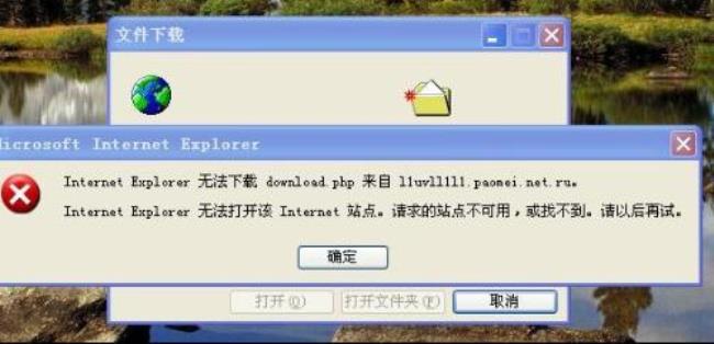 Internet Explorer无法显示该网页怎么解决