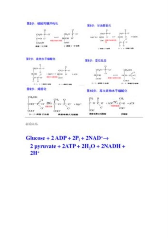 糖酵解在什么条件下进行