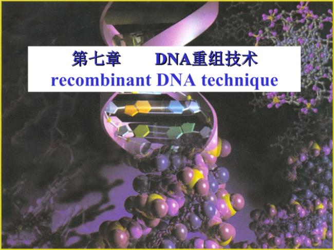 dna重组技术应用实例