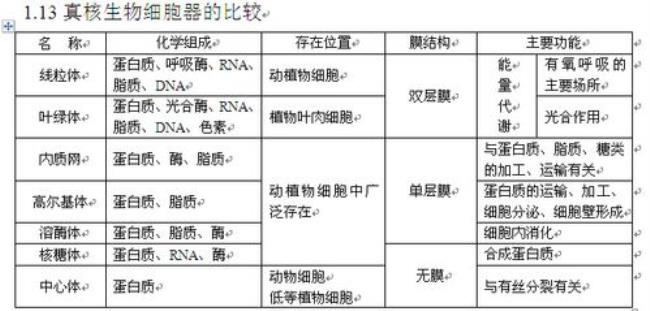 原核生物与真核生物的增殖方式