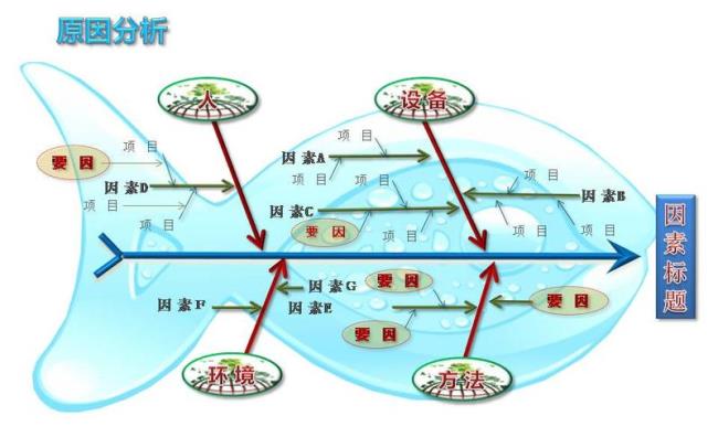 逻辑上的主宾关系是什么意思