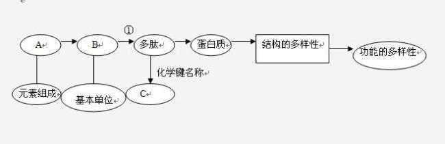 酵母菌的概念