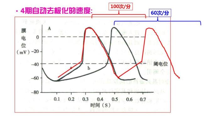 为什么极化会缩短离子间距