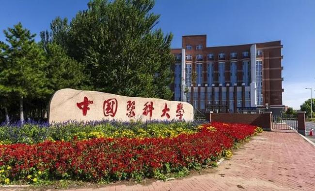 中国药科大学是不是985和211