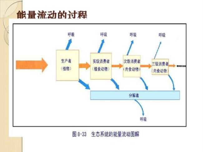 生态系统的能力流动方式主要有