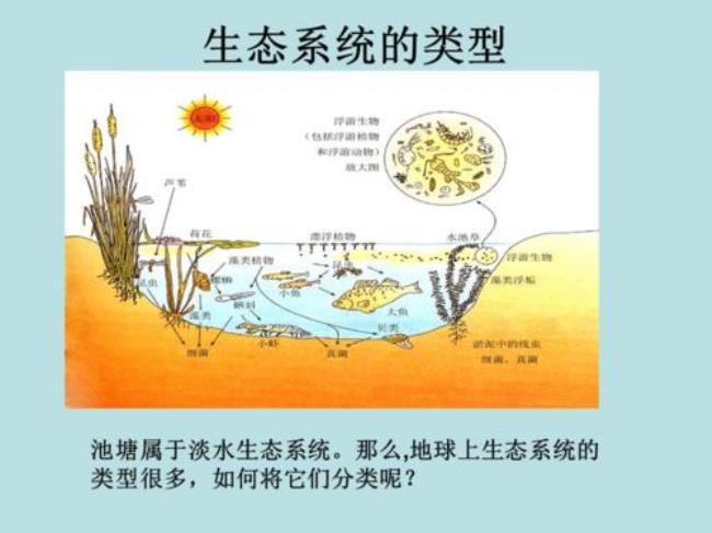 生物圈的三大层是什么