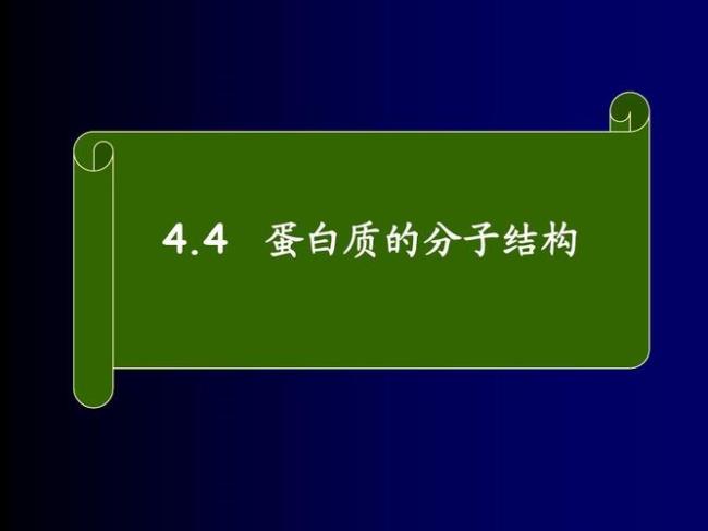 蛋白质的分子结构越大越好吗