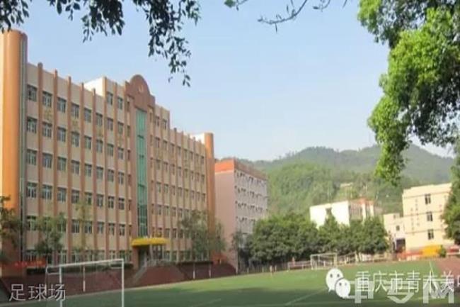 重庆悦来中学怎么样