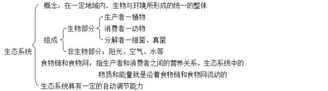 为什么分解者不能促进能量流动