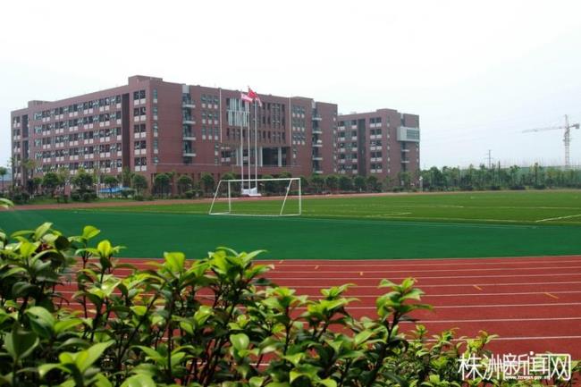 为什么湖南大学城集中在株洲