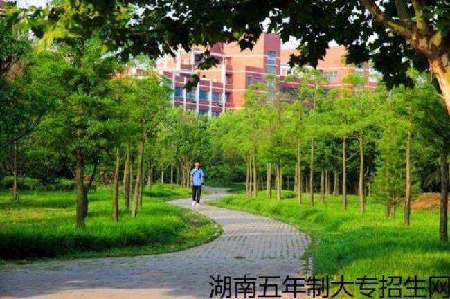 湖北工业大学为什么招初中生