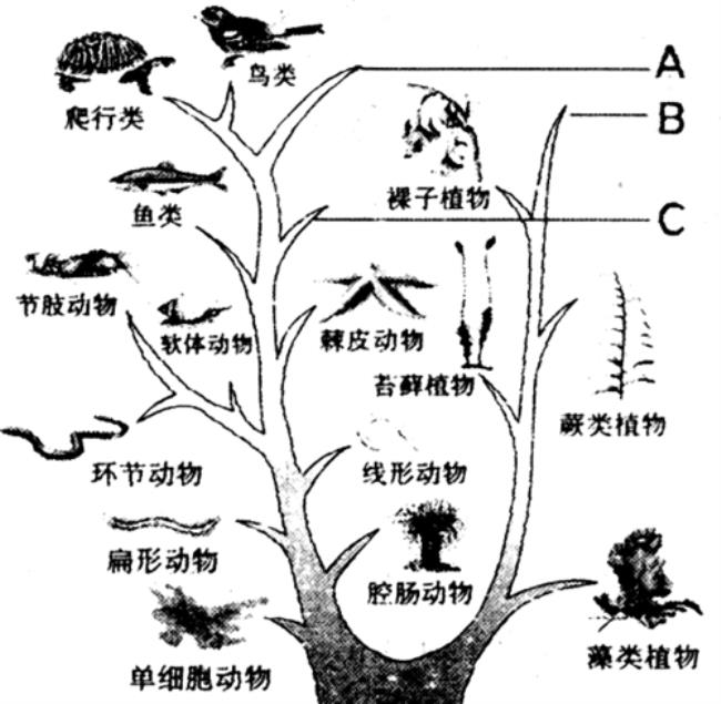 生物制品的起源是