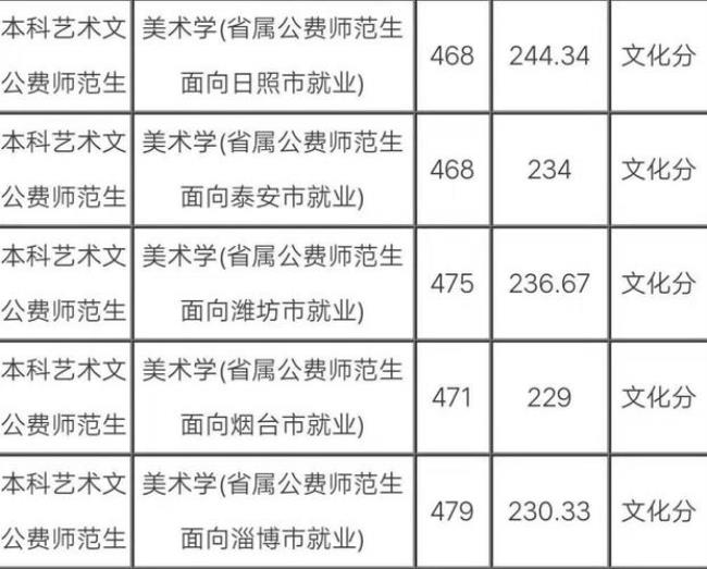 齐鲁师范学院美术专业怎么样