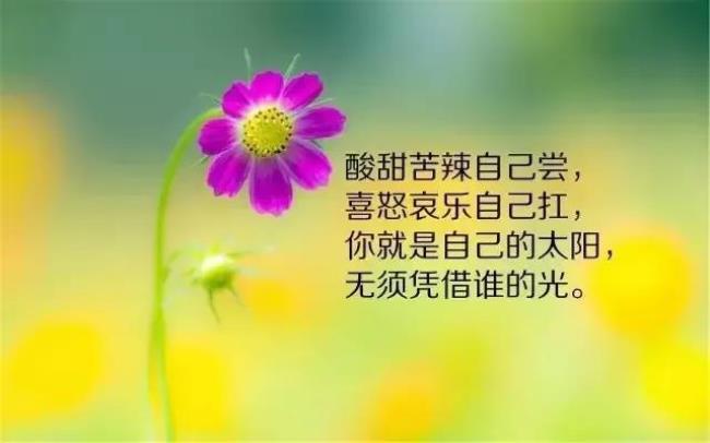 10句经典语录人生感悟