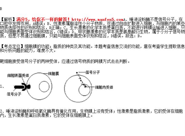 靶细胞的化学本质是什么