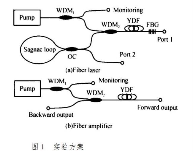 光适应和暗适应的本质