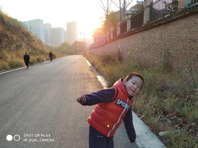 上学路上看到的春天景色