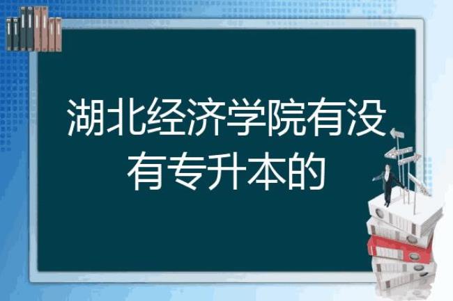 湖北经济学院是专科院校吗