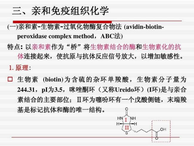 化学中的组织是什么意思